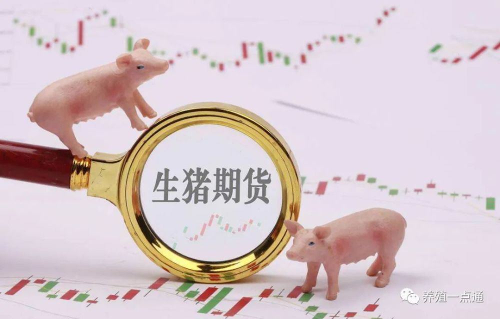 博主介绍 第69页