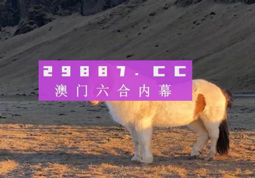 2025澳门天天免费大全057期13-25-07-28-49-04T:02