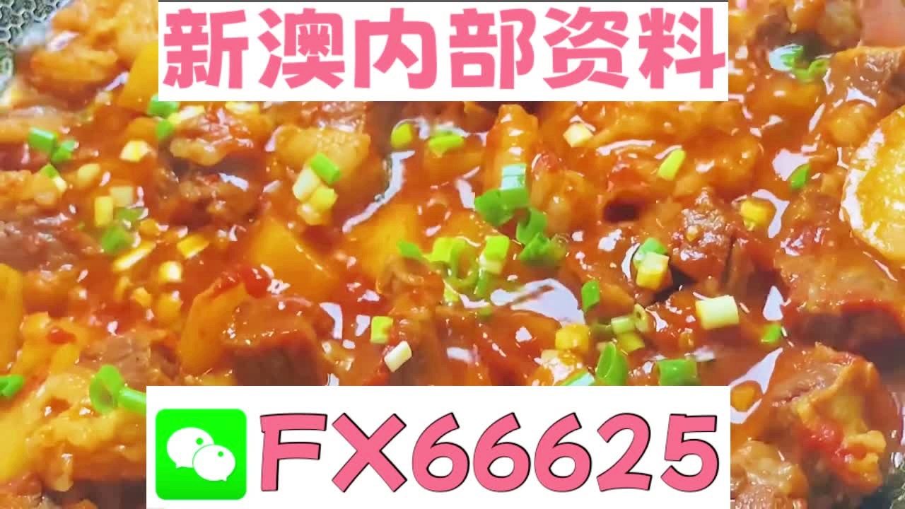 新奥2025正版资料大全057期13-25-07-28-49-04T:02