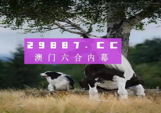 2025年澳门免费资料,正版资料057期13-25-07-28-49-04T:02