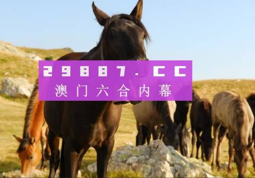 澳门管家婆100精准018期08-36-29-38-43-09T:08